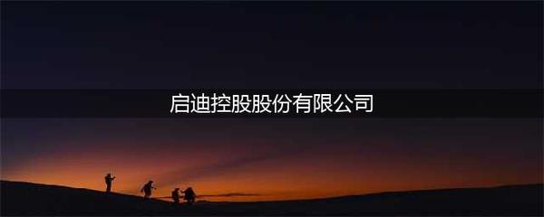 启迪控股是国企还是央企(启迪控股股份)